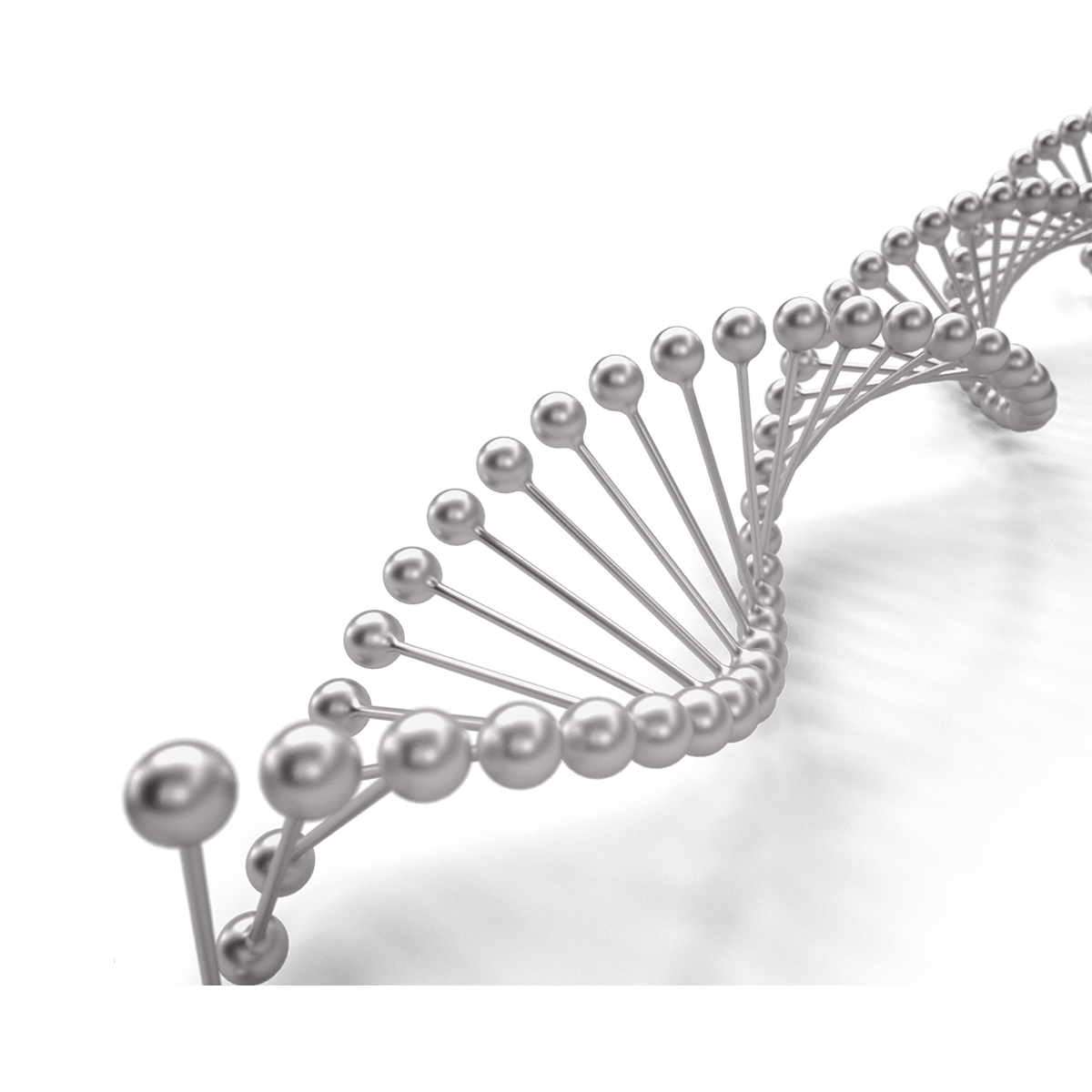 dna